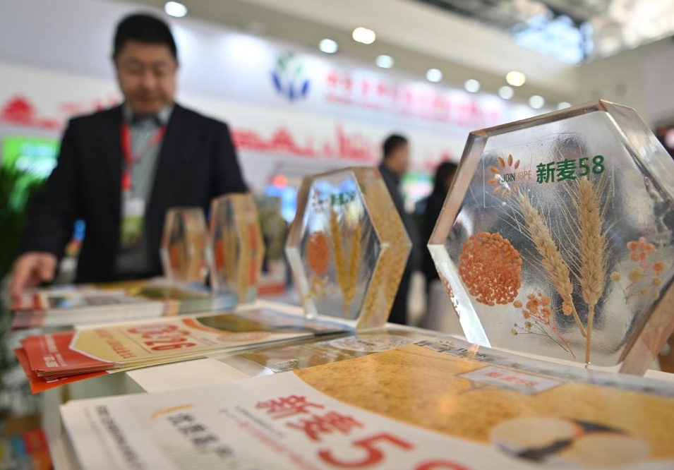 微信截图_20240926171118.png 微信截图_20240926171118.png