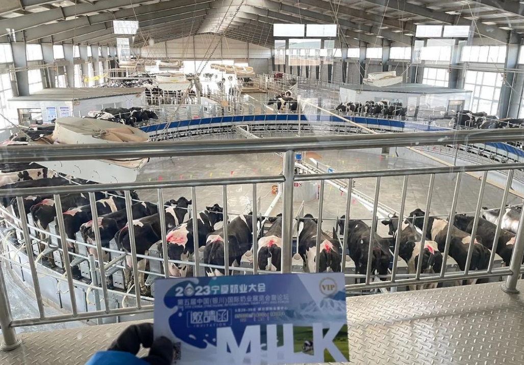 微信截图_20241015105042.png 微信截图_20241015105042.png