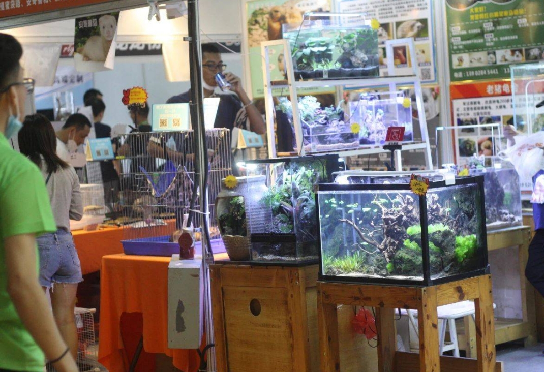 微信截图_20241104095610.png 微信截图_20241104095610.png