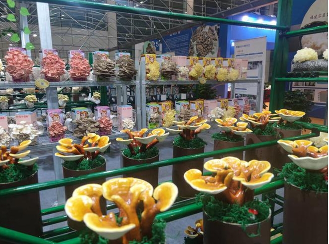 微信截图_20241112100146.png 微信截图_20241112100146.png